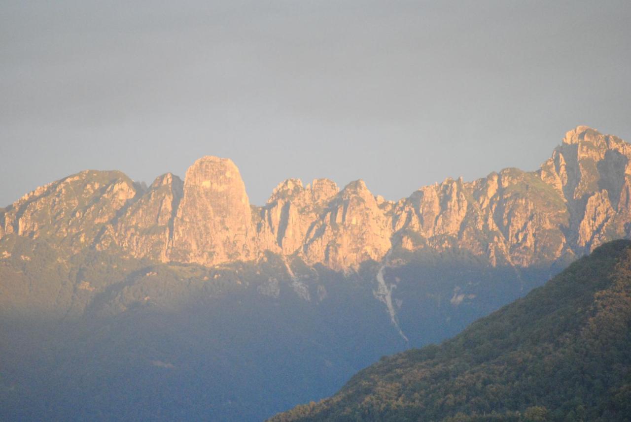 Residence Schiohotel Εξωτερικό φωτογραφία